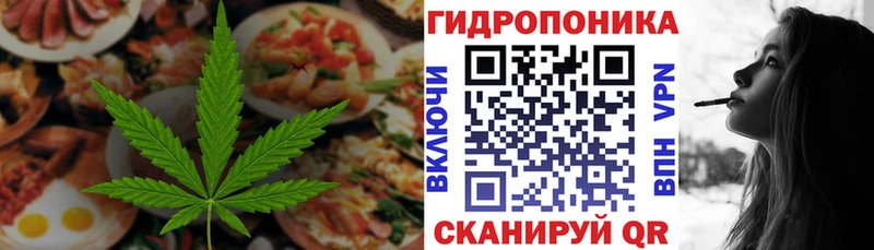 Cannafood конопля  Чебоксары 