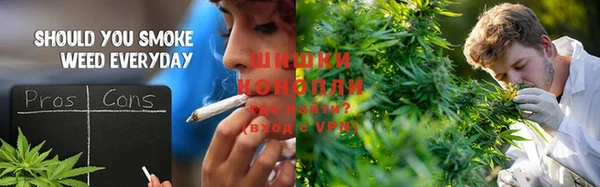 дурь Заводоуковск