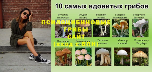 spice Ханты-Мансийск