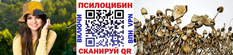 Галлюциногенные грибы GOLDEN TEACHER  Чебоксары 